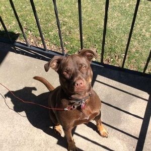 Meet your Posher, Chuck